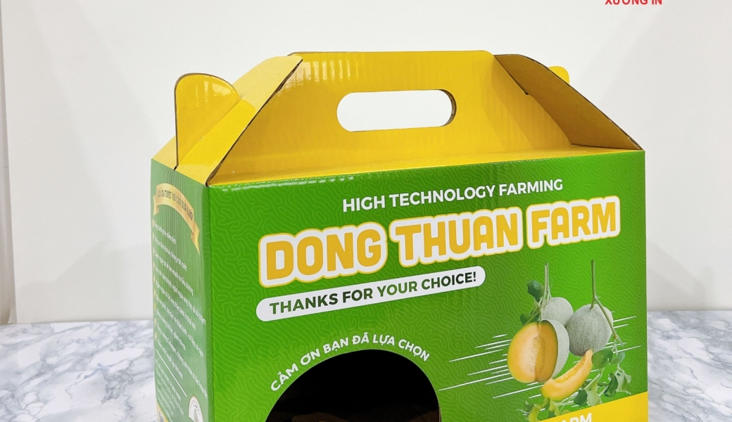 In Hộp Carton