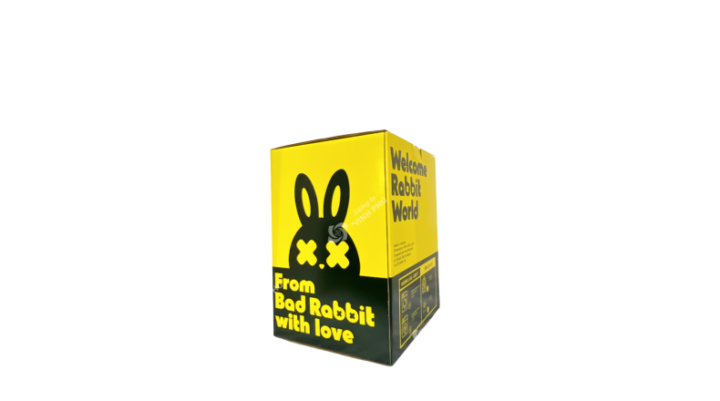 Hộp carton sóng bồi in Offset dán Suppor