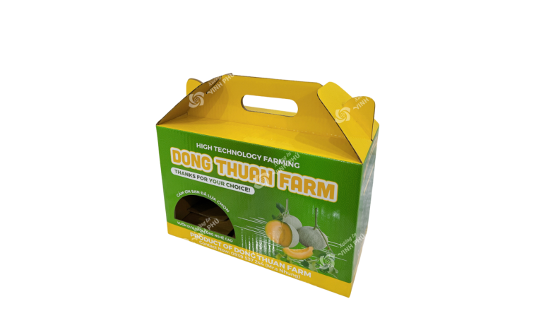 Hộp Carton quai xách dây gài đựng trái cây